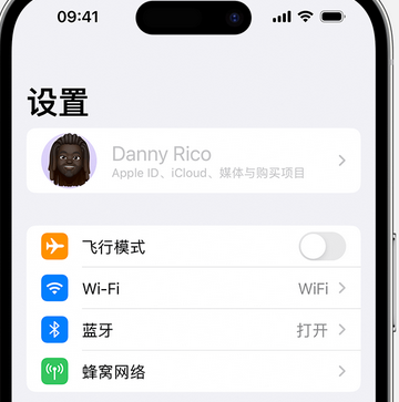 哈巴河appleID维修服务iPhone设置中Apple ID显示为灰色无法使用 