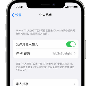 哈巴河apple服务站点分享iPhone上个人热点丢失了怎么办 