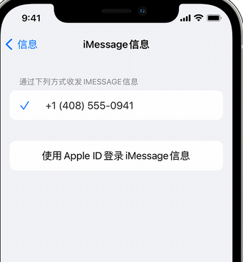 哈巴河apple维修iPhone上无法正常发送iMessage信息 