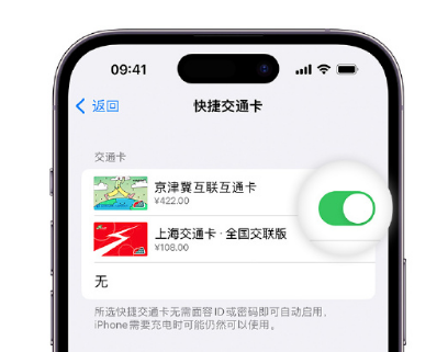 哈巴河apple维修点分享iPhone上更换Apple Pay快捷交通卡手绘卡面 