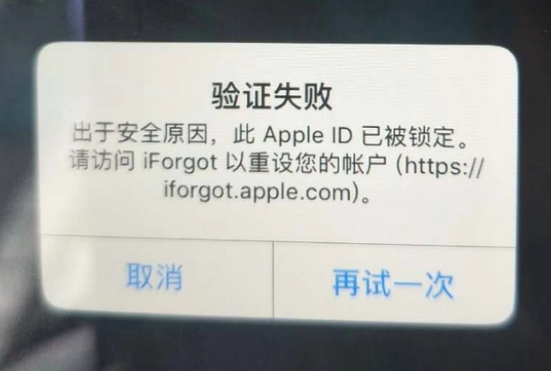 哈巴河iPhone维修分享iPhone上正常登录或使用AppleID怎么办 