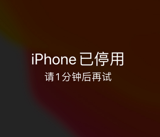 哈巴河苹果手机维修分享:iPhone 显示“不可用”或“已停用”怎么办？还能保留数据吗？ 