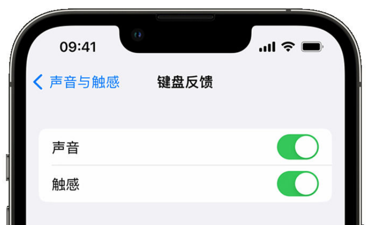 哈巴河苹果手机维修分享iPhone 14触感键盘使用方法 