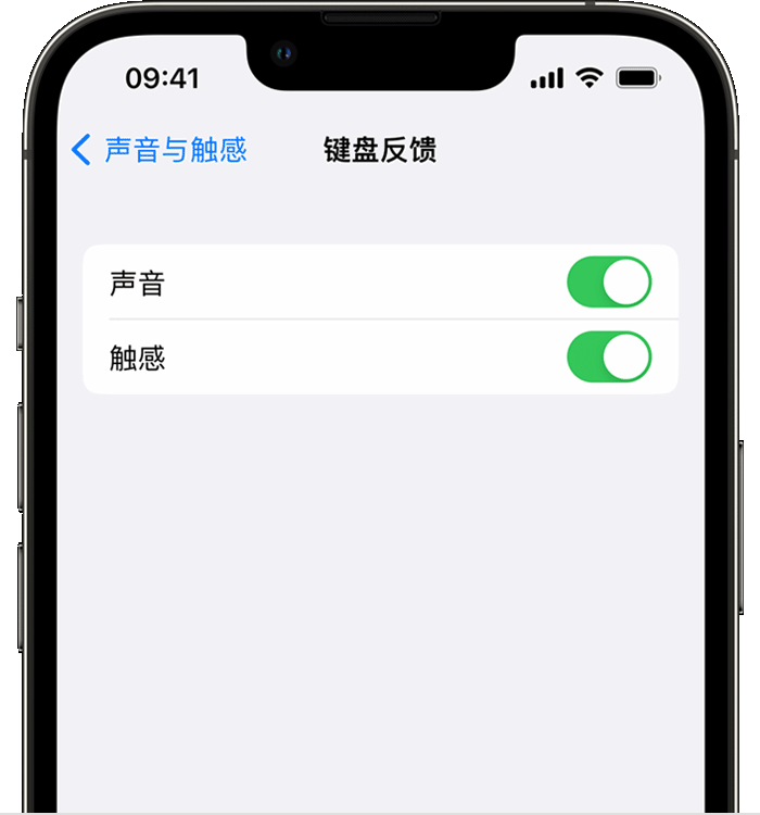 哈巴河苹果14维修店分享如何在 iPhone 14 机型中使用触感键盘 