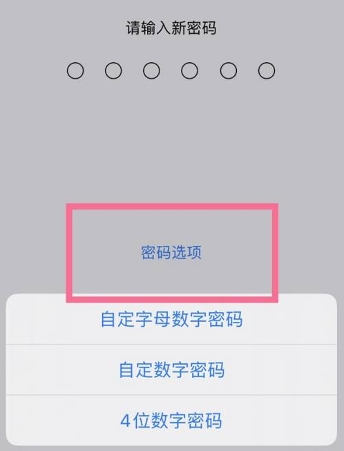 哈巴河苹果14维修分享iPhone 14plus设置密码的方法 