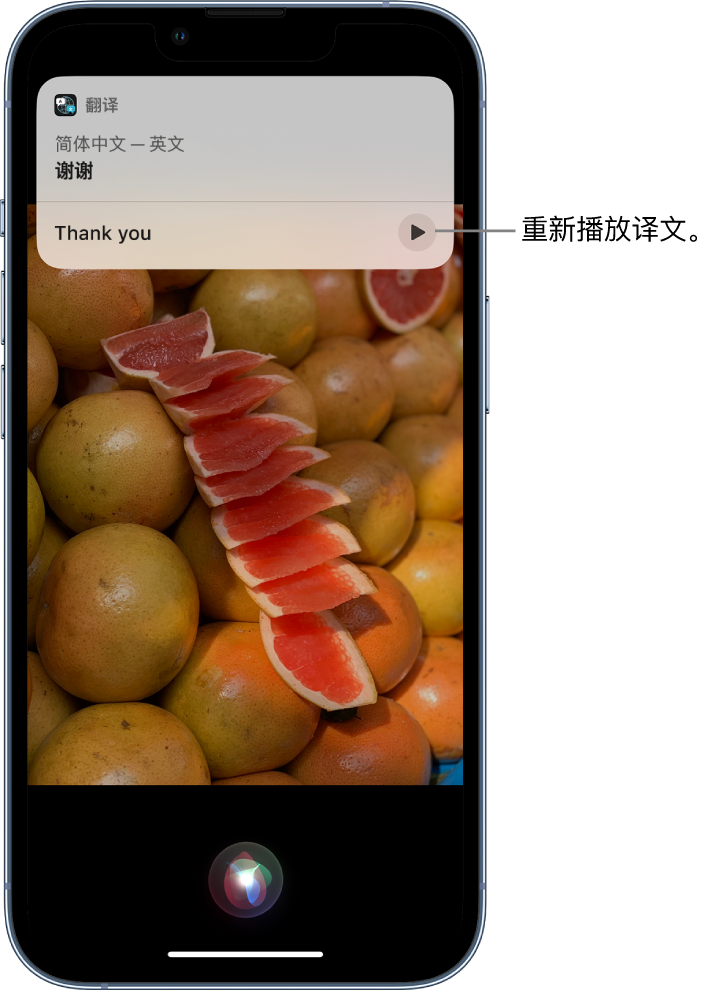 哈巴河苹果14维修分享 iPhone 14 机型中使用 Siri：了解 Siri 能帮你做什么 