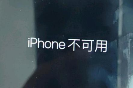 哈巴河苹果服务网点分享锁屏界面显示“iPhone 不可用”如何解决 