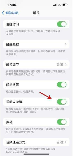 哈巴河苹果手机维修分享iPhone手机如何设置摇一摇删除文字 